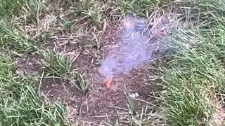 In the ground fireworks test real time