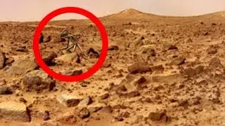 NASA Covers Up ALIEN Life On Mars