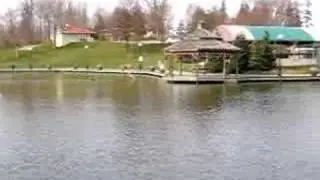 Swans, Waterloo Park and PI.
