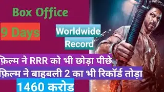 Pathaan Day 9 Box Office Collection l By Master Bollywood