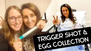 Trigger Shot, Egg Collection & Embryo Updates (IVF Cycle 2) | Same Sex Couple IVF Journey