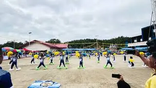 Field Demonstration