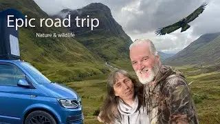 Explore SCOTLAND'S Stunning Wildlife and Historic Landmarks on an Epic Road Trip!