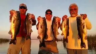 Lake Okeechobee Big Bass Fishing in Florida