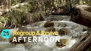 Afternoon:  7 Minute Regroup & Revive  Meditation