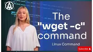 The wget with download continue parameter command