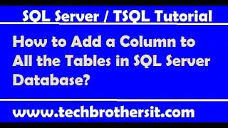 How to Add a Column to All the Tables in SQL Server Database - SQL Server Tutorial / TSQL Tutorial