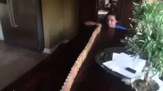 Best shots ever: domino effect4