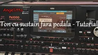 Ton cu sustain fara pedala - Tutorial pa1000