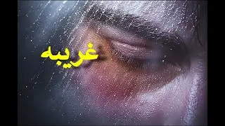 غریبه