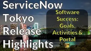 Software Success: Portal, Goals and Activities