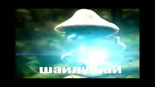 ШАЙЛУШАЙ #youtubeshorts #original #Shailushay