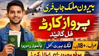 Parwaaz Card Program Punjab | Free Visa, Ticket & Loan Support Details #parwazcard #maryamnawaz