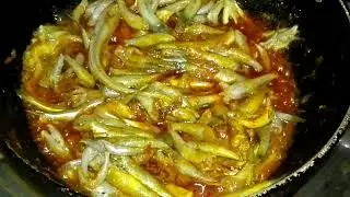 সামুদ্রিক বাইলা বা বেলে মাছ রান্না রেসিপি || BAILA FISH BELE FISH COOK RECIPE || EUPHORIC SAVVY