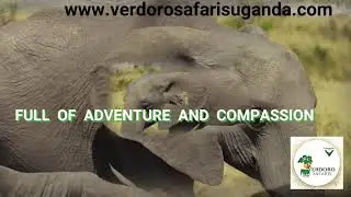 African Adventures