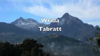 Wrida - Tabratt