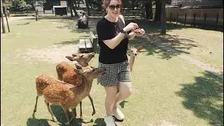 First Time in Nara, Japan 🦌 | Deer Park, Temples & Kind Locals