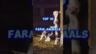 Top 10 Farm Animals #animals #chicken #shorts #farm #rabbit #trending #viral