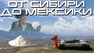 КАРТЕЛЬ ПОМИЛОВАЛ | FORZA HORIZON 5 | Обзор