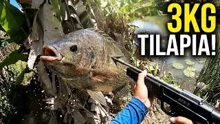 GIANT 3KG+ Tilapia Taken with ATX-2 — Pure Power, Precision & Control in Real Fishing