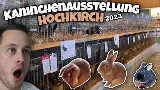 Kaninchenausstellung Hochkirch 2023 😯🐇 Kleintiershow  | Schustrich S 2.0 ⭐