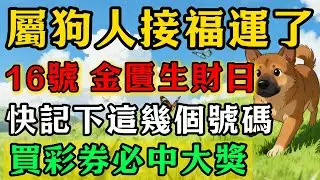 生肖狗必看！明天2026年1月16號，農曆十一月廿八是「金匱黃道吉日」，偏財運旺，這4個數字一定要記牢，買彩券可中大獎！#佛靈禪師#屬相運勢#生肖#家運#生肖運勢的那些事#先知#風水變化#提升運勢