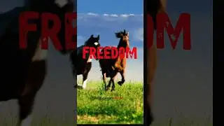 ACCEPTANCE OF REALITY = FREEDOM 🌅 | Wholesome Rebel Motivation #shorts