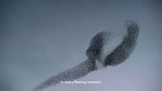 adidas Sustainability Video FULL