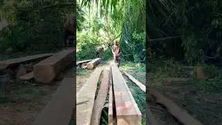 Ripping wood skills 