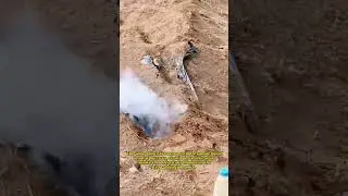 Smoke Out! Watch Farmers Wage War Against Field Rats With This Genius Trick!