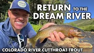 Tons of Cutthroat on the Dream River - 2025 Season Opener - Colorado River Cutthroat Trout