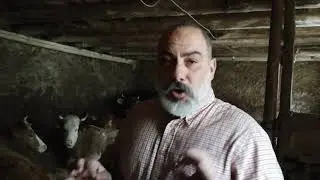 L'Insaziabile, una stalla piena di vita e il filó