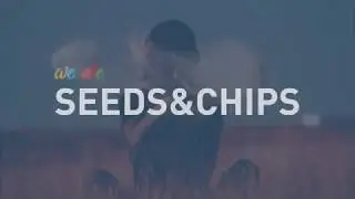 We are Seeds&Chips