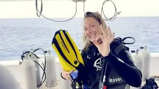 Dive Egypt at its best - Liveaboard Red Sea