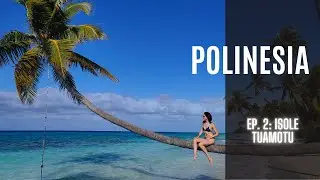 Isole Tuamotu 🌊 La Polinesia più selvaggia 🦈