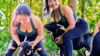 Goat Riding 🐐 Full Weight vs Balance | Super Funny Village Moment😍
