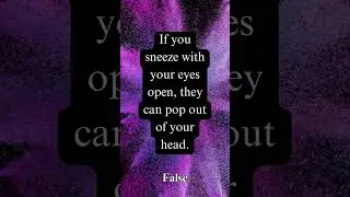Fun Facts 6
