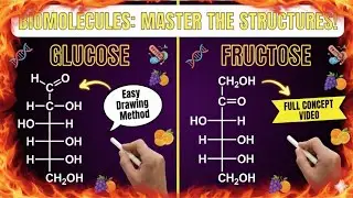 Structure of glucose and fructose. || Biomolecules | class -12th CBSE 