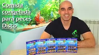 39🧊.- Tipos de COMIDA / ALIMENTO Congelado para PECES Disco (Peces Tropicales de agua dulce)