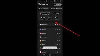 How to use ninja vpn