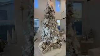 Polar Bear Wonderland Transformation