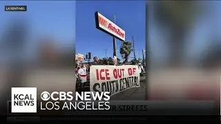 Local news highlights with the LA Sentinel | Community Insider