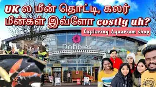 Aquarium shop in UK | Costly fish tanks & fishes | London Akkaa #ukvlog #internationalstudents