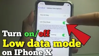 How to turn on or off low data mode on iPhone X