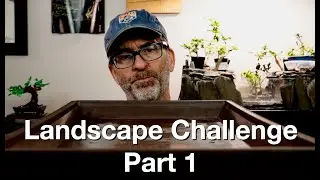 Landscape Challenge Part 1:  Dave's Bonsai E302