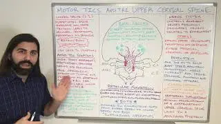 Motor Tics and the Upper Cervical Spine