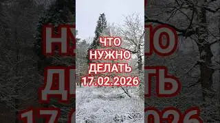 WHAT TO DO 02/17/2026