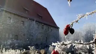 Das Collegium Musicum w&uuml;nscht einen frohen f&uuml;nften Weihnachtstag! 