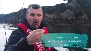 Yamaha and NZ Fishing World - Inshore squid fishing