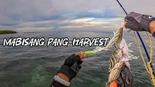 LURE NA PANG HARVEST❗